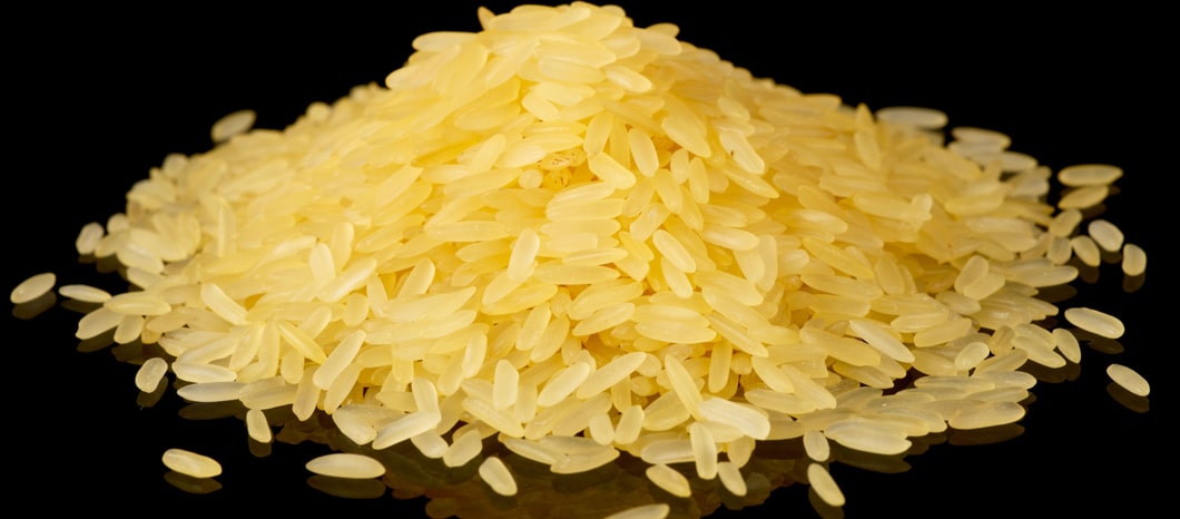 Iranian GM Rice Found to Contribute to Environmental Health